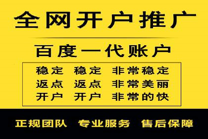 百度竞价价格解析，成功案例分享